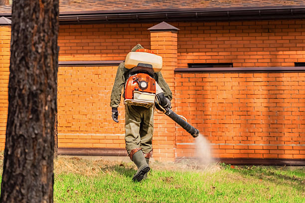 Trusted Rodent Control service in West Little River, FL - Nex Pest Control